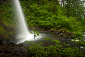 columbia, River, Oregon, Waterfall, Stream, Forest