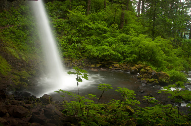 columbia, River, Oregon, Waterfall, Stream, Forest HD Wallpaper Desktop Background