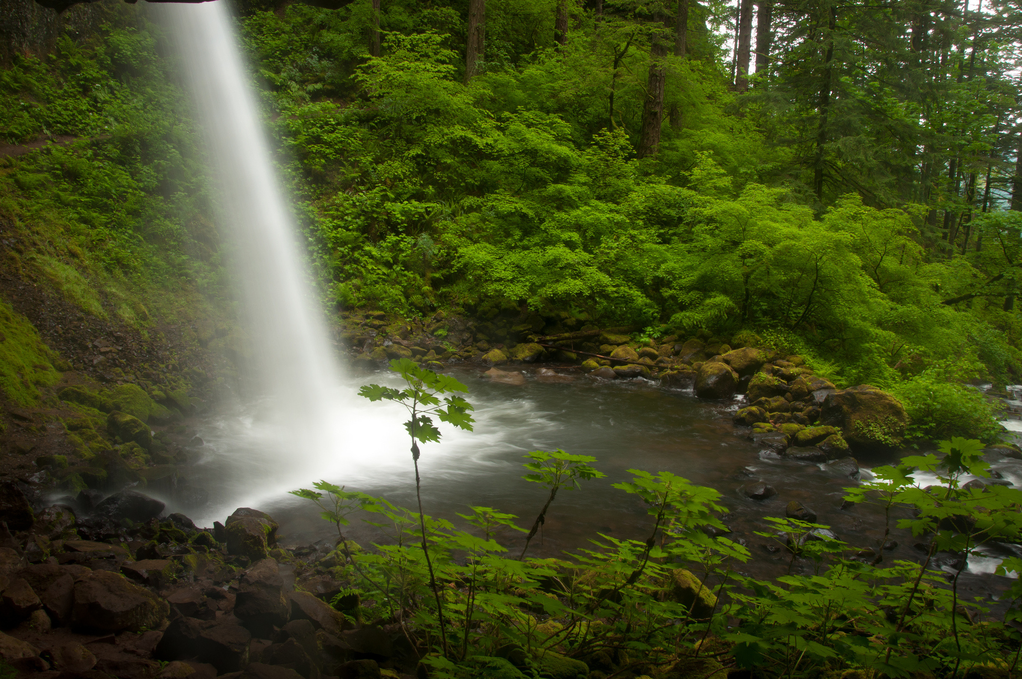 columbia, River, Oregon, Waterfall, Stream, Forest Wallpaper