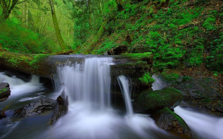 forest, Trees, River, Stream, Waterfall, Rocks, Moss, Nature, Landscape HD Wallpaper Desktop Background