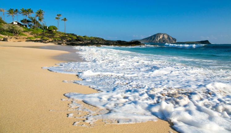 makapuu, Beach, Oahu, Hawaii, Pacific, Ocean HD Wallpaper Desktop Background