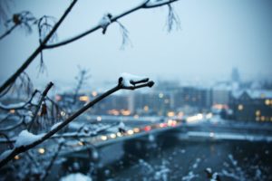 blue, Winter, Snow, Lights, Bridges, Blurred, Branches, Cities
