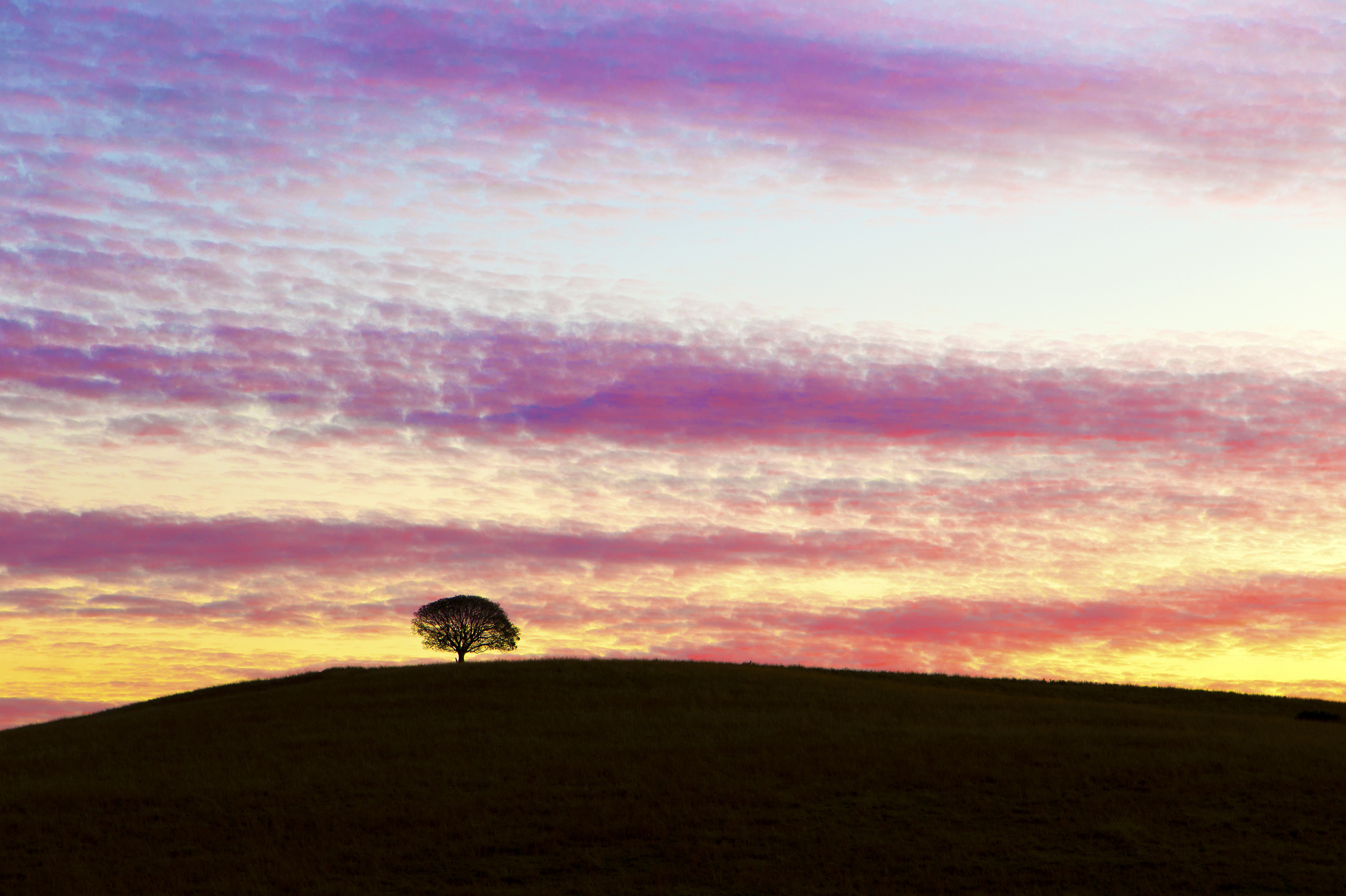 australia, Hill, Tree, Evening, Sunset, Sky, Clouds Wallpaper