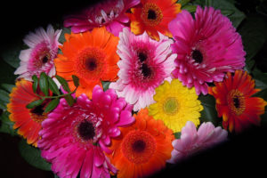 bouquet, Flowers, Flora