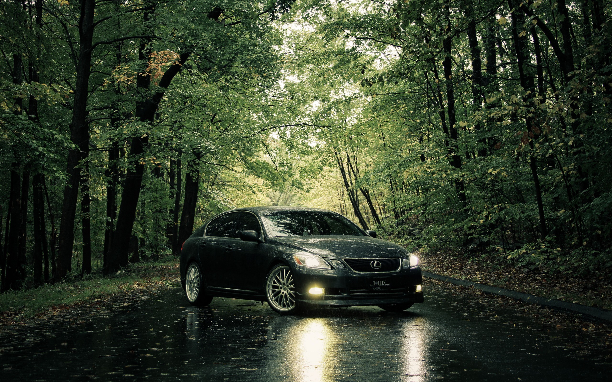 trees, Cars, Roads, Lexus Wallpaper