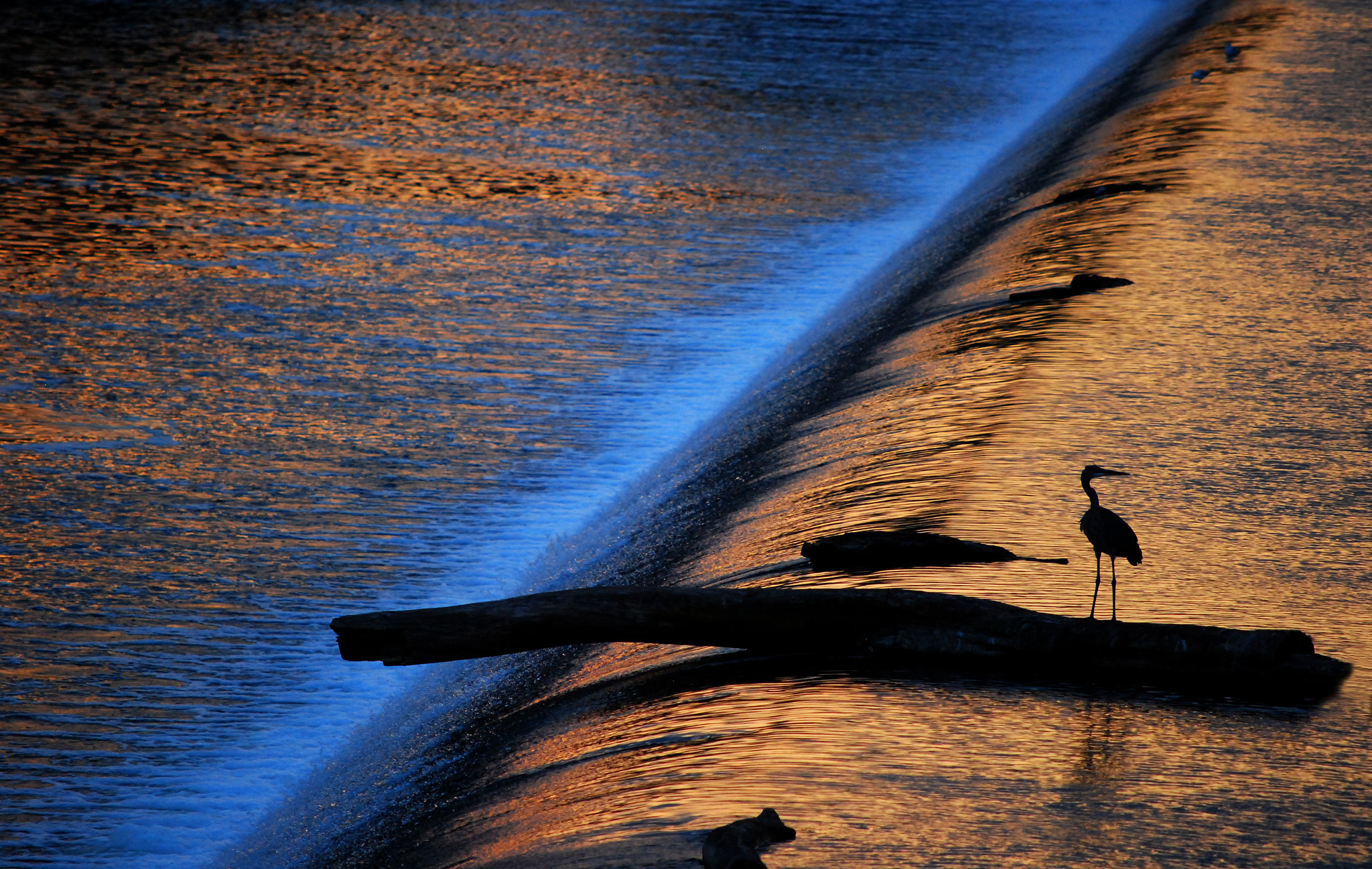 water, Stream, Light, Sun, Game, Bird, Heron, Silhouette, Mood, Waterfall, Reflection Wallpaper