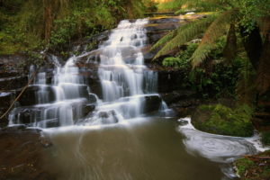 waterfalls, Australia, Parks, Great, Otway, Nature