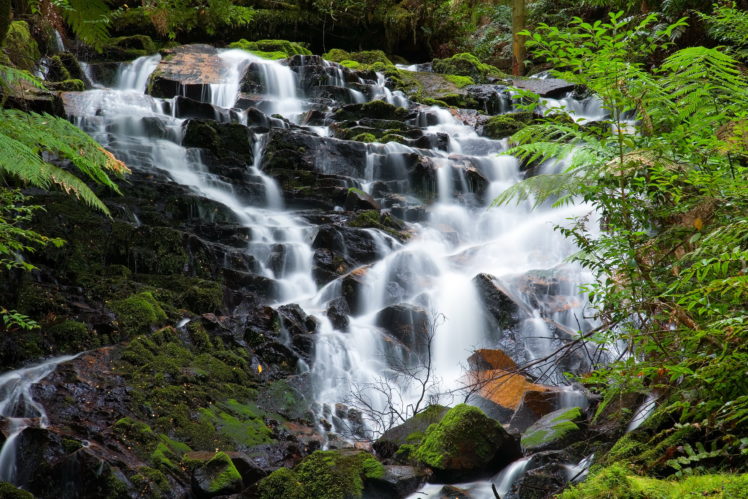 waterfalls, Parks, Australia, Yarra, Ranges, Nature HD Wallpaper Desktop Background