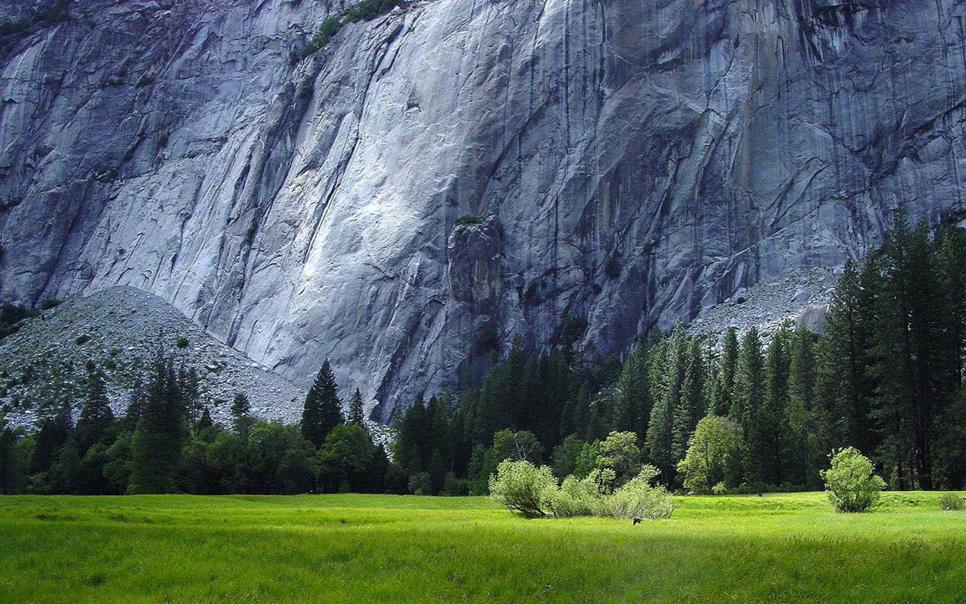 grass, Rock, Contrast Wallpaper