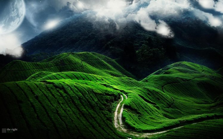landscapes, Nature, Fields, Hills, Mist, Roads HD Wallpaper Desktop Background