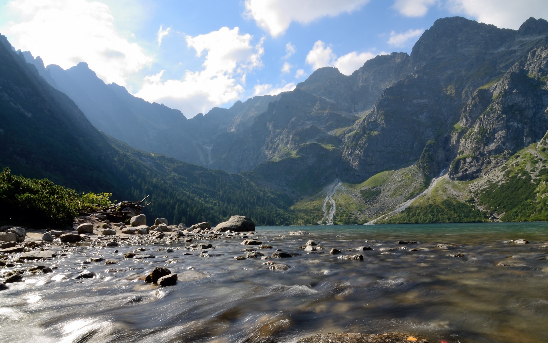 nature Wallpaper
