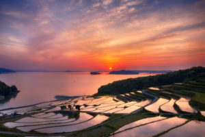 japan, Nagasaki, Prefecture, Terraces, Rice, Evening, Sun, Sunset, Orange, Sky, Clouds