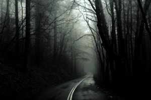 black, And, White, Trees, Dark, Forest, Roads, Monochrome