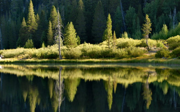 water, Landscapes, Nature, Reflections HD Wallpaper Desktop Background