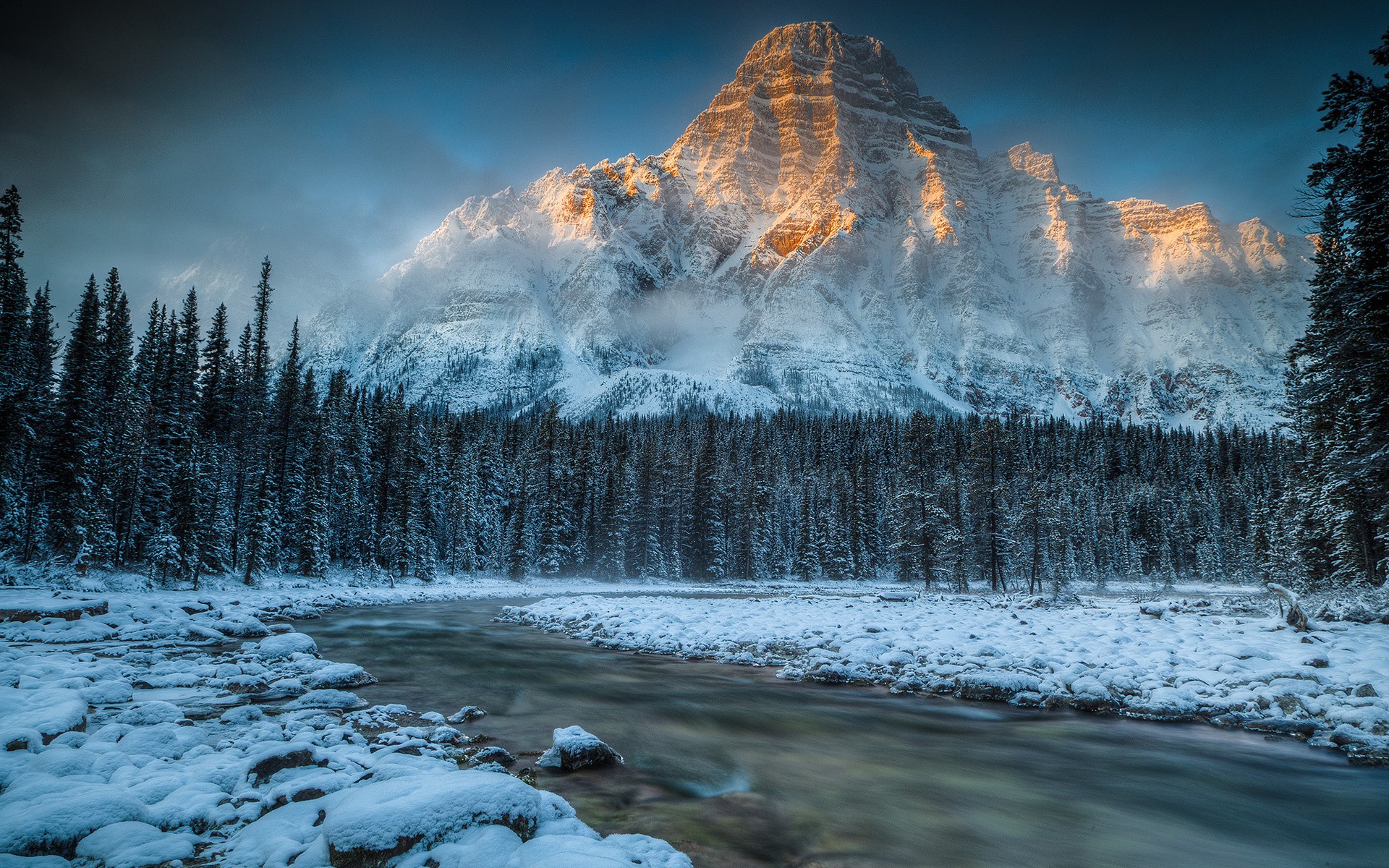 114595 Wallpaper