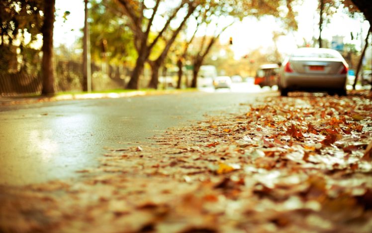 cars, Leaves, Roads, Depth, Of, Field, Fallen, Leaves HD Wallpaper Desktop Background