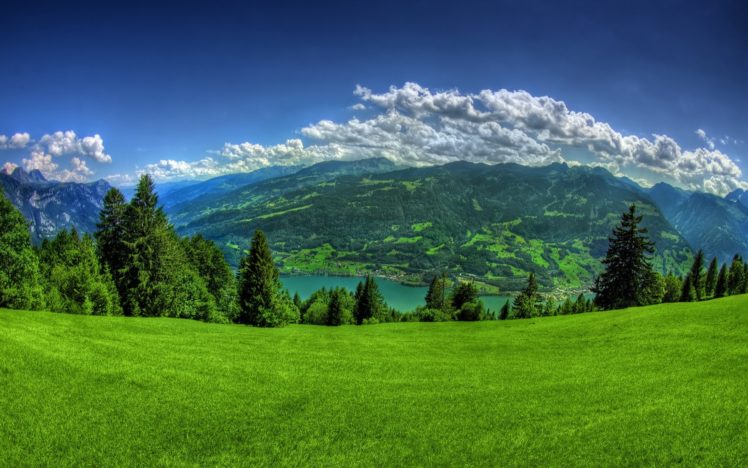clouds, Landscapes, Trees, Grass HD Wallpaper Desktop Background