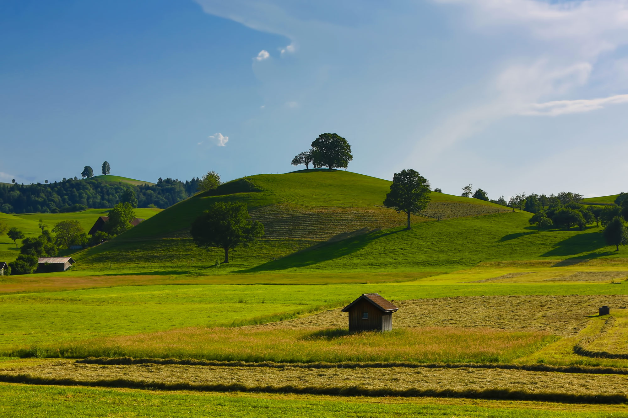 fields, Hills, Trees, Houses, Nature Wallpaper