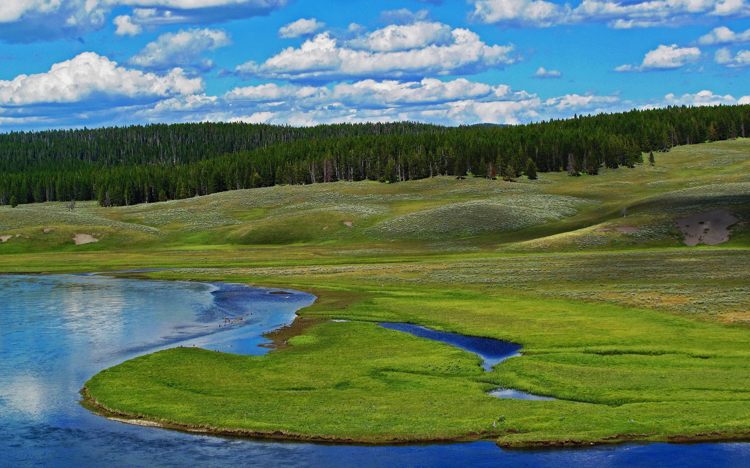 park, Usa, River, Hills, Forest, Nature Wallpaper