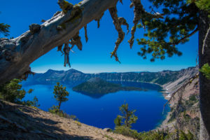 crater, Lake, Oregon, Island, Trees, Mountains, Reflection