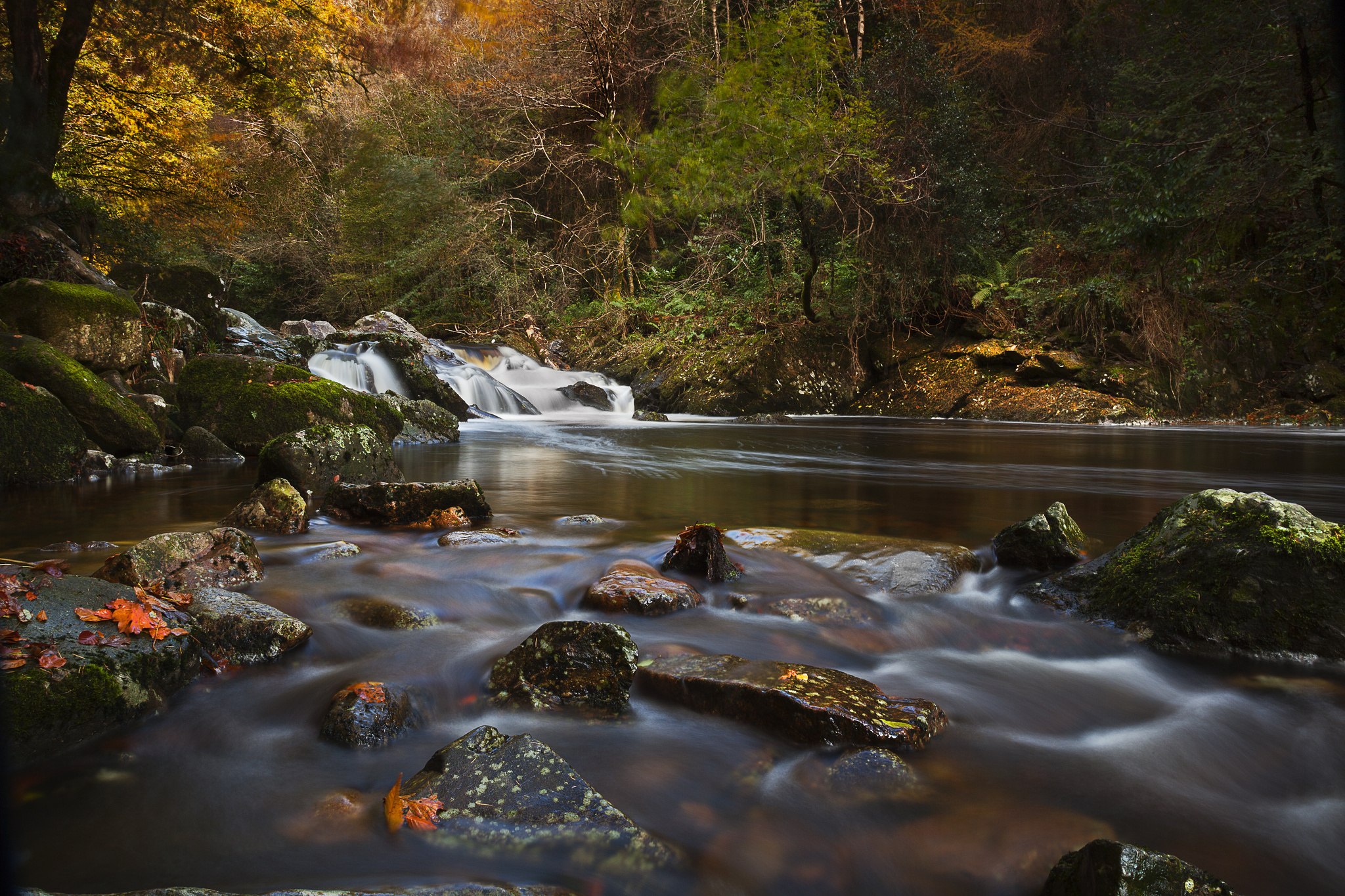 river, Rocks, Fall, Forest, Autumn Wallpaper