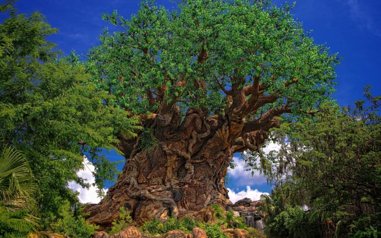 tree, Of, Life, In, The, Kingdom, Of, Disney, Garden HD Wallpaper Desktop Background