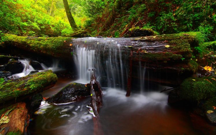 forest, River, Timber, Waterfall HD Wallpaper Desktop Background