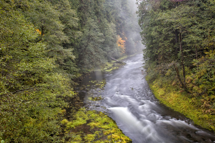 river, Forest, Trees, Forest, Autumn, Fog, Mist HD Wallpaper Desktop Background