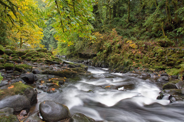river, Forest, Rocks, Fall, Autumn HD Wallpaper Desktop Background