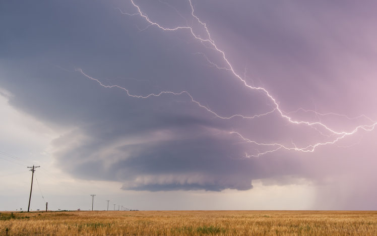 lightning, Stormclouds, Field, Rain HD Wallpaper Desktop Background