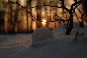 winter, Snow, Sun