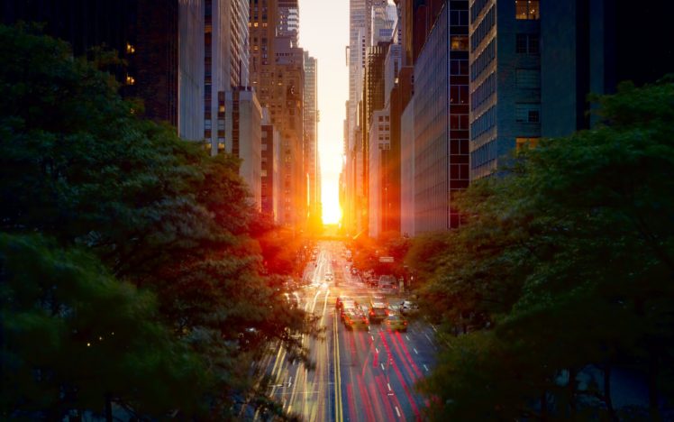 sunset, Trees, Buildings, Cities HD Wallpaper Desktop Background