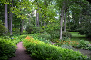 parks, Usa, Winterthur, Trees, Nature, Garden