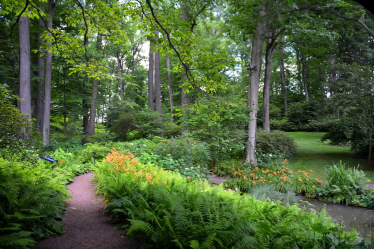 parks, Usa, Winterthur, Trees, Nature, Garden HD Wallpaper Desktop Background
