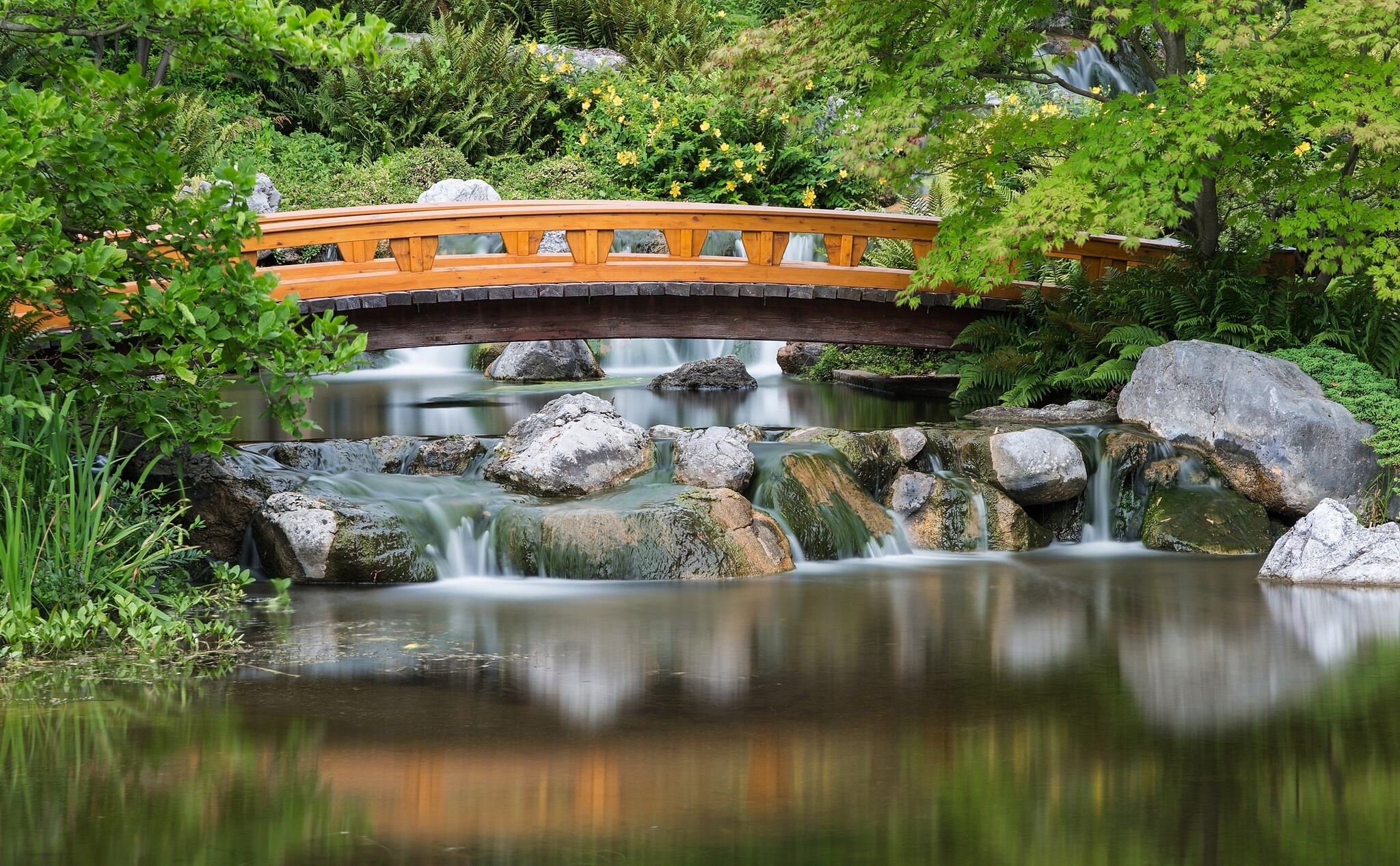 japanese, Garden, Asian, Garden, Lake, Reflection, River, Pool, Mood, Bridge Wallpaper