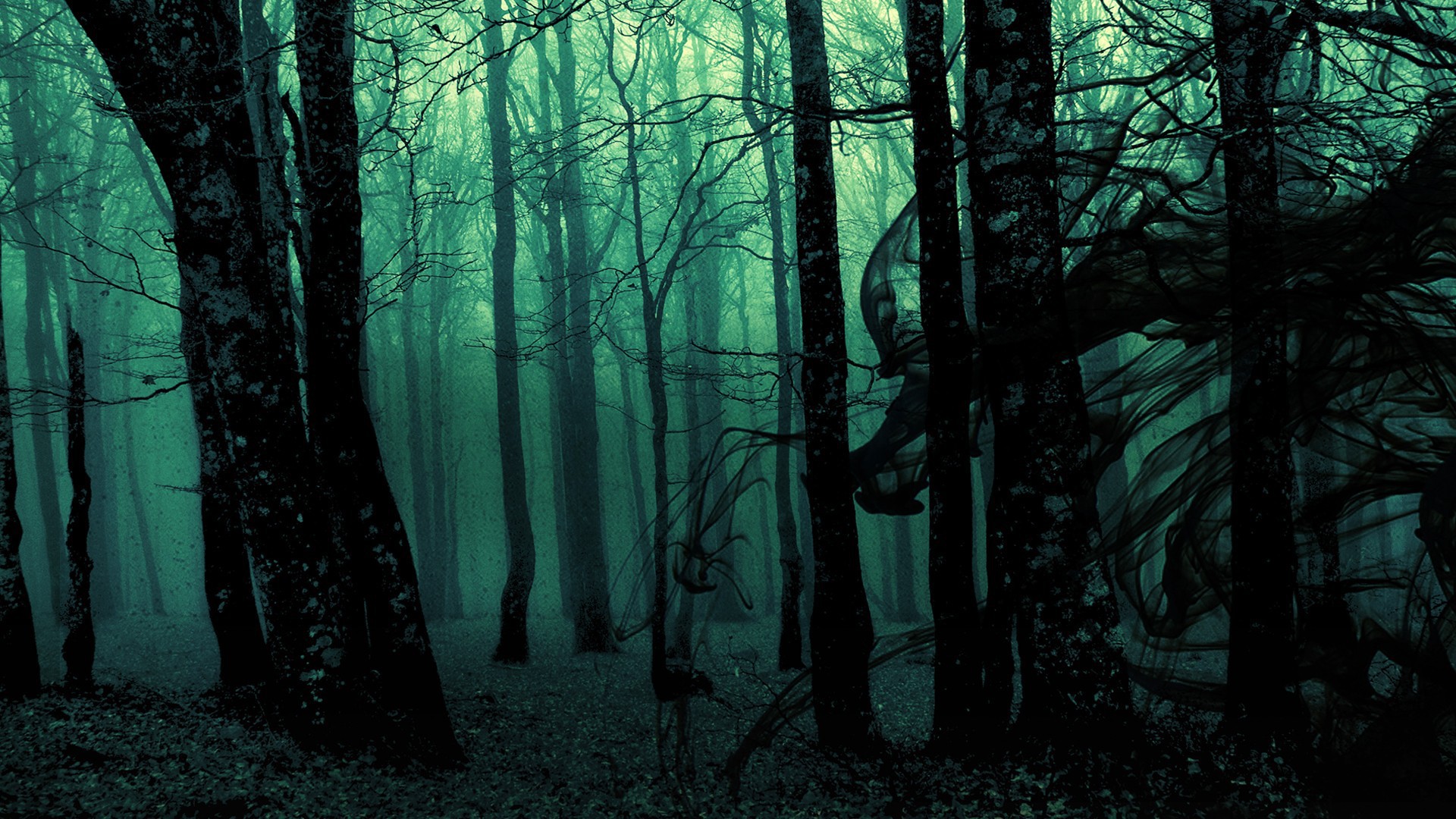 dark, Ghost, Gothic, Wood, Trees, Fantasy, Evil, Horror Wallpapers HD / Des...