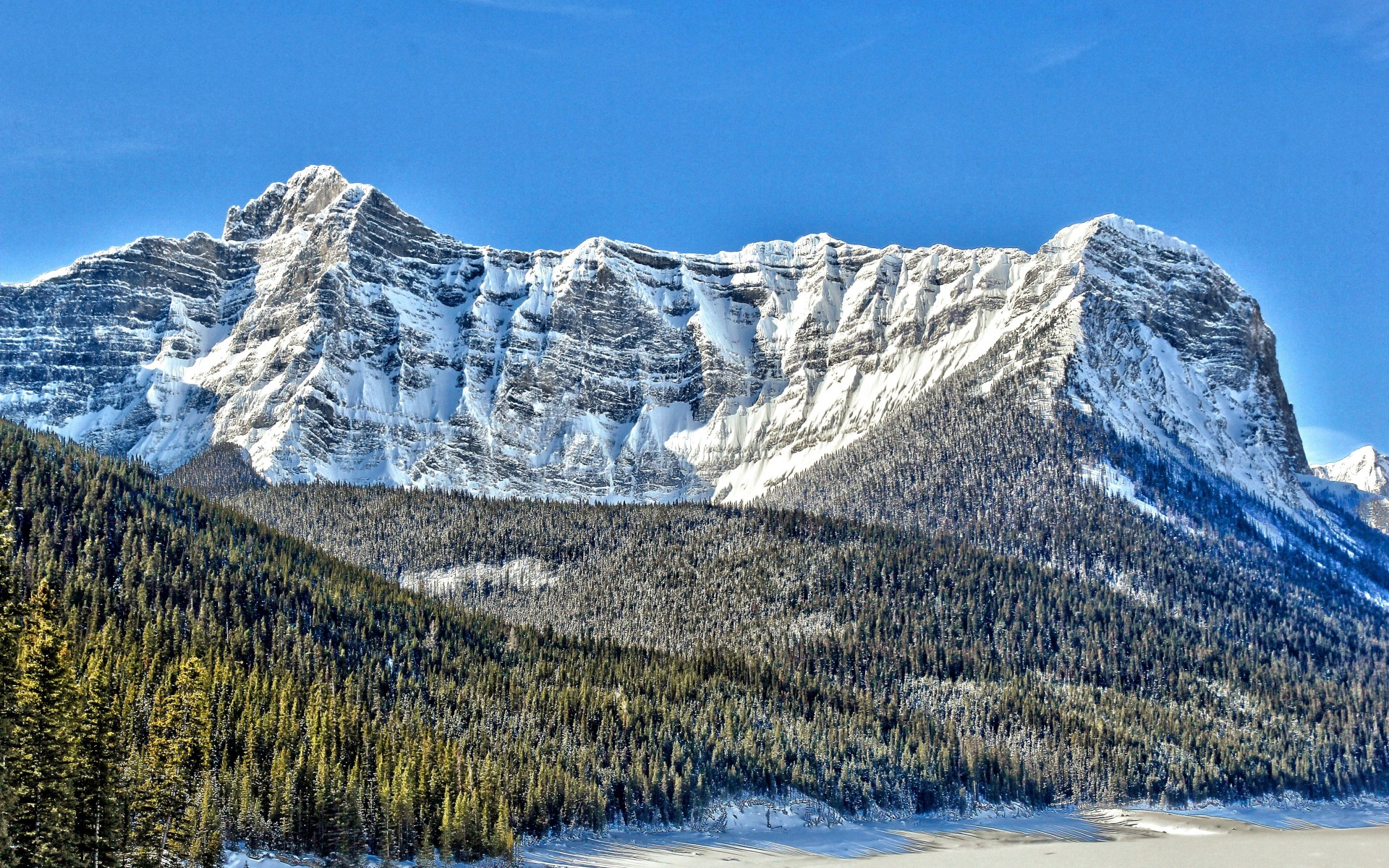 canada, Ridge, Top, Snow, Pine, Trees, Lake, Aster Wallpaper