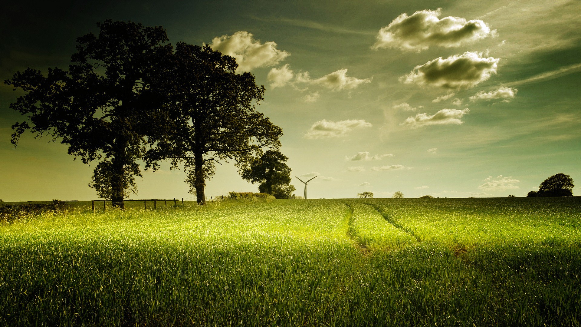 field, Trees, Clouds, Green Wallpaper