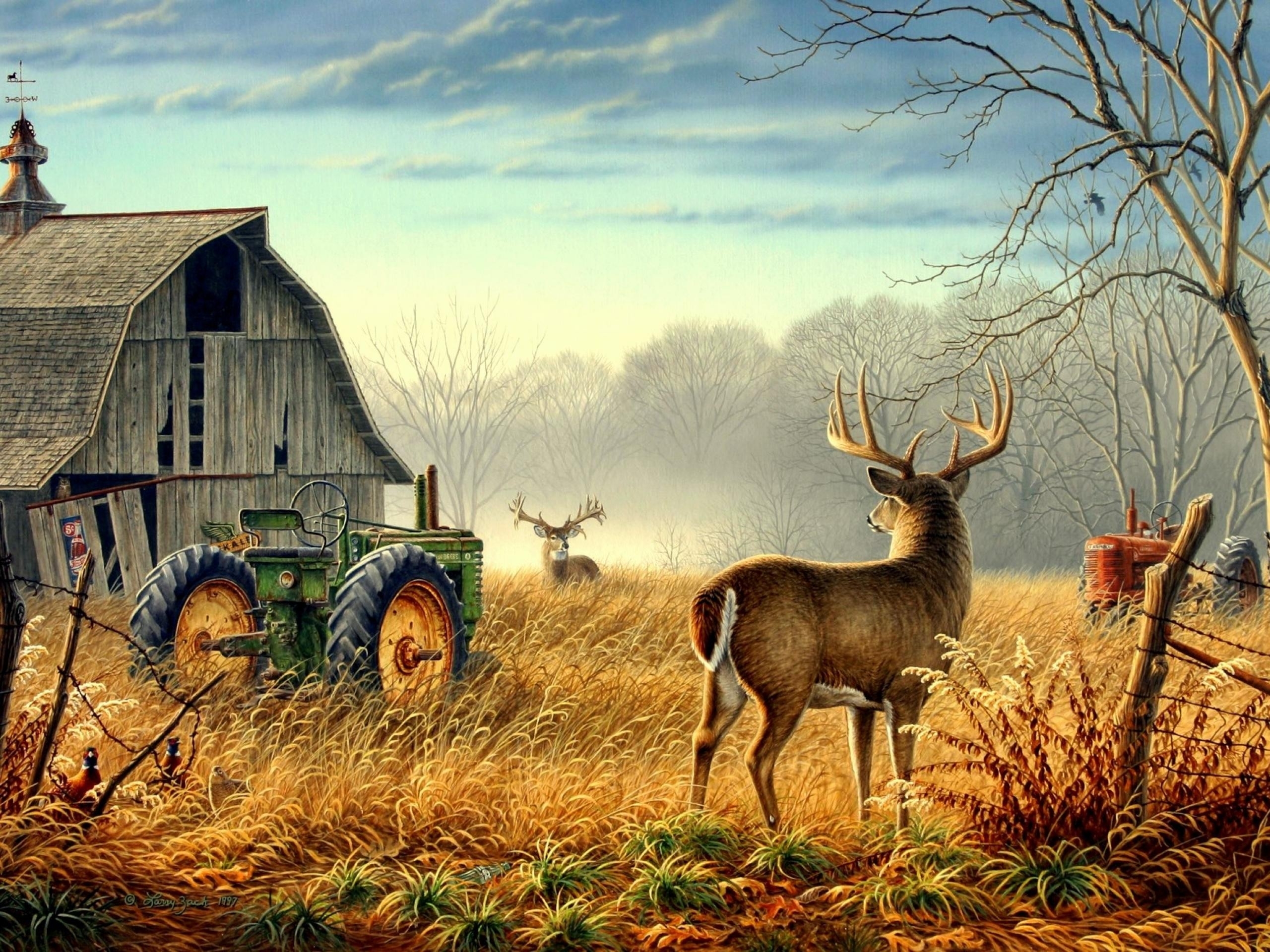 nature, Trees, Fences, Birds, Fog, Mist, Deer, Barn, Farm, Competition, Animals, Bird, Mood Wallpaper
