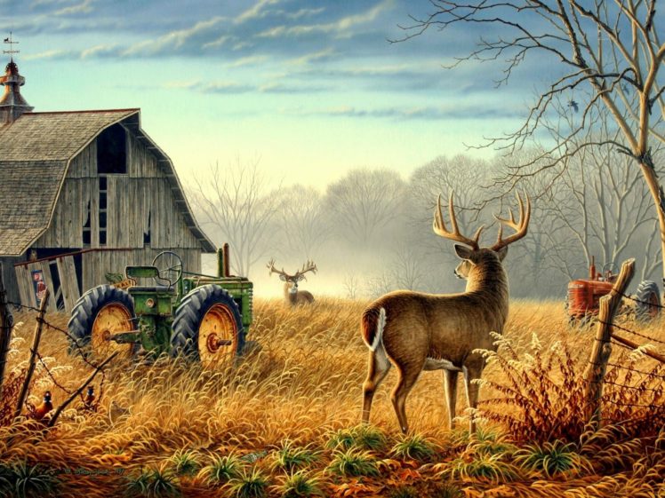nature, Trees, Fences, Birds, Fog, Mist, Deer, Barn, Farm, Competition, Animals, Bird, Mood HD Wallpaper Desktop Background