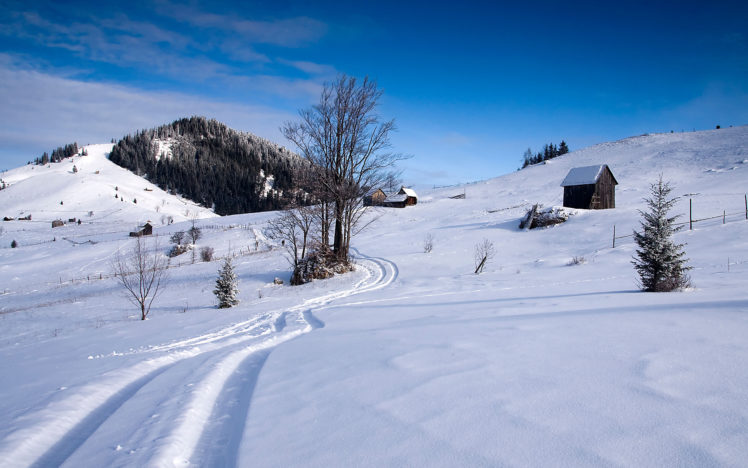 winter, Hills, Trees, House, Track HD Wallpaper Desktop Background