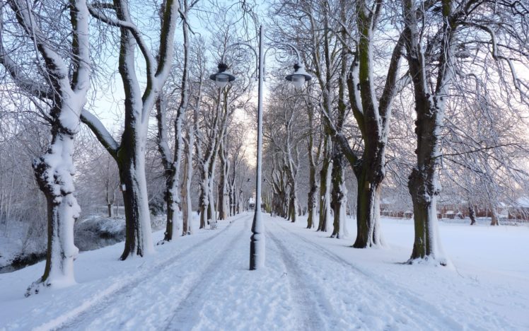 winter, Park, Road, Trees, Lights, Landscape HD Wallpaper Desktop Background