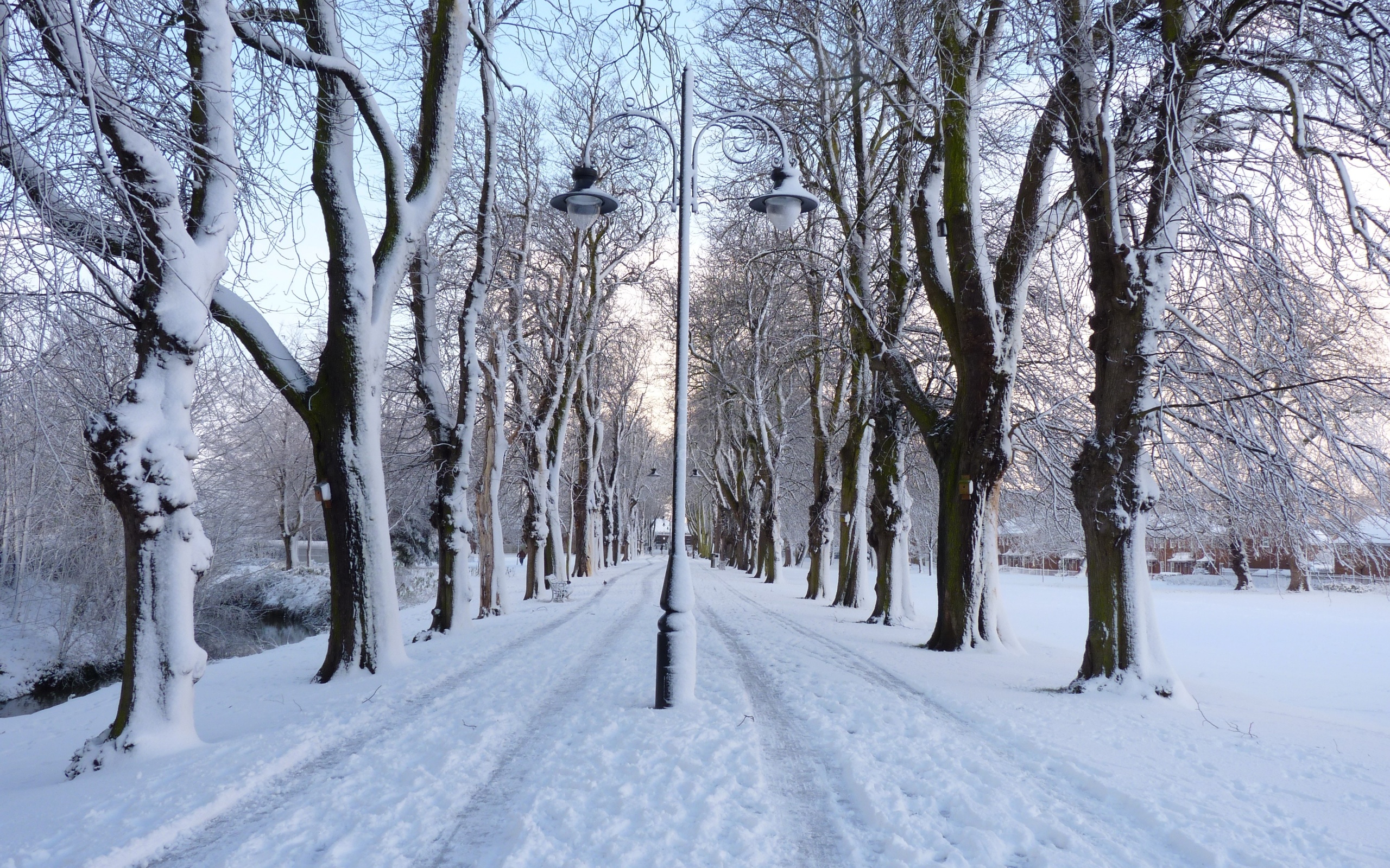 winter, Park, Road, Trees, Lights, Landscape Wallpaper