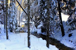 winter, River, Trees, Snow, Landscape