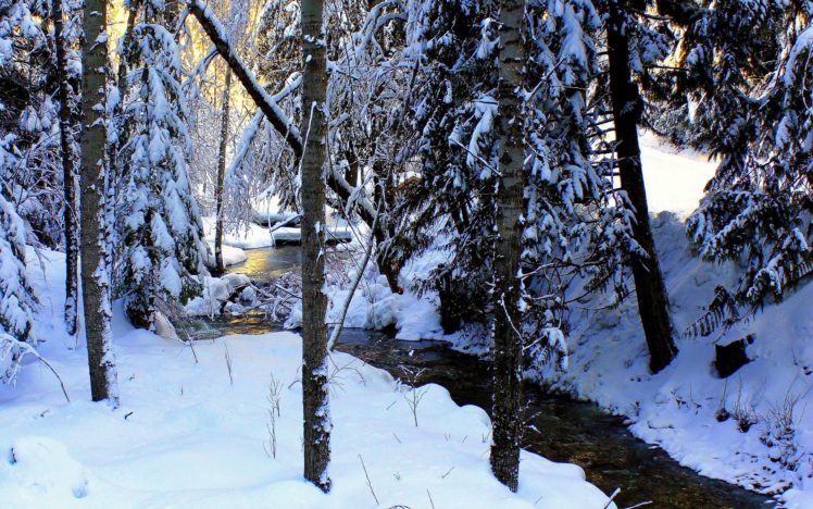 winter, River, Trees, Snow, Landscape HD Wallpaper Desktop Background