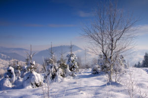 winter, Snow, Trees, Landscape