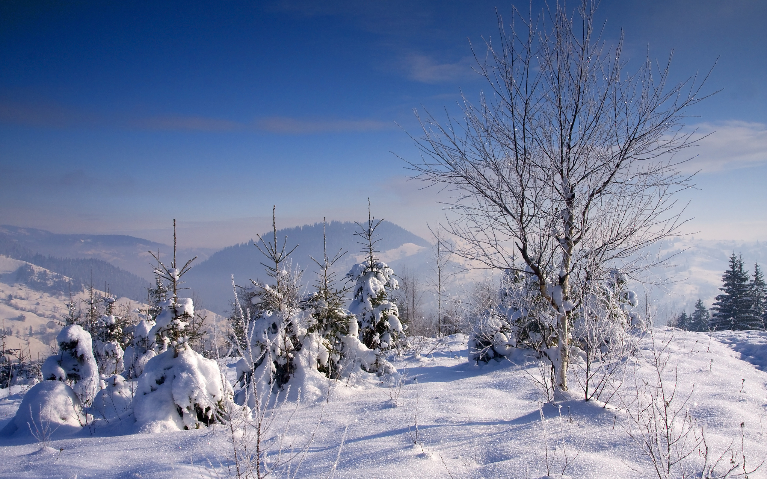 winter, Snow, Trees, Landscape Wallpaper