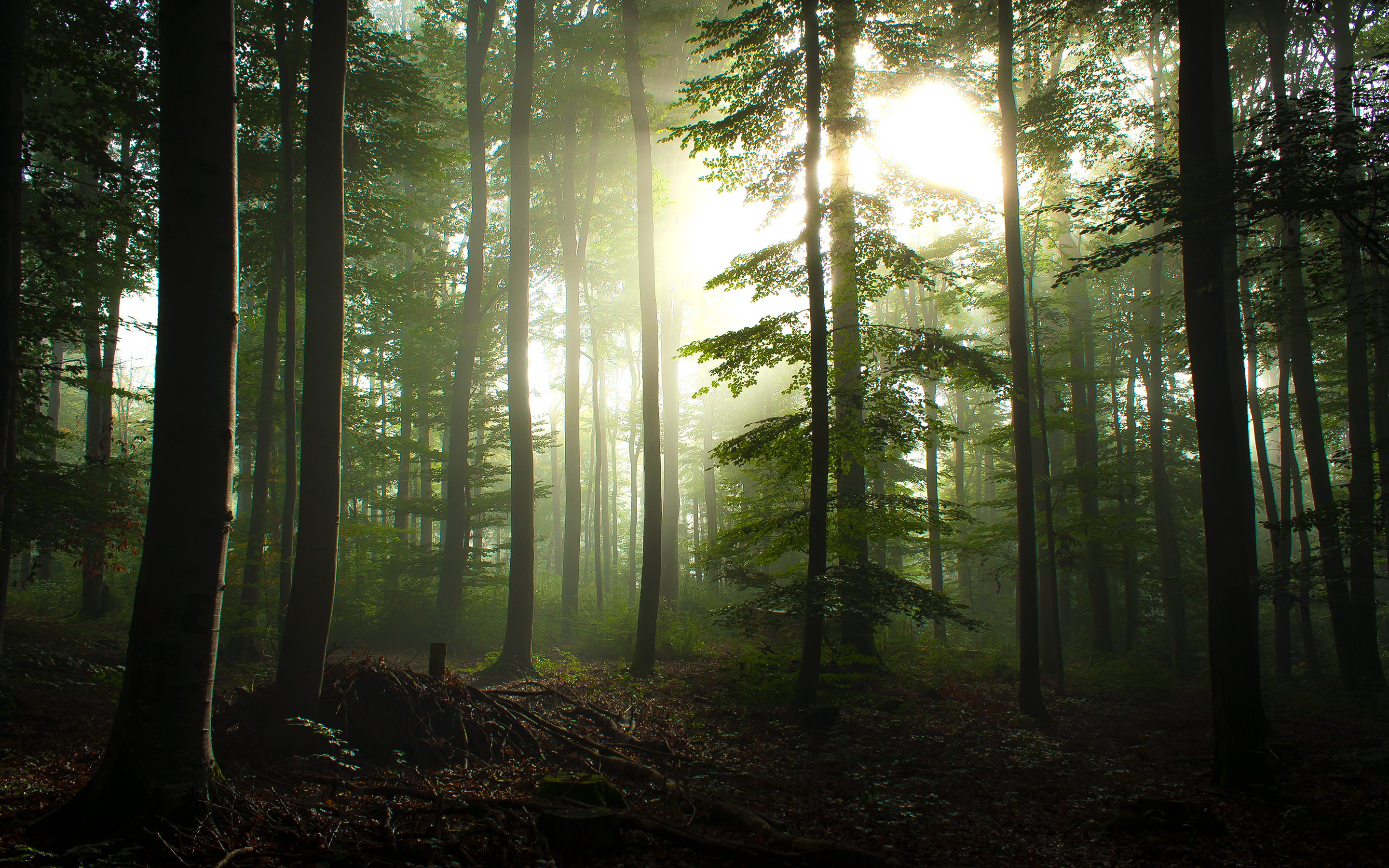 germany, Baden wuerttemberg Wallpaper