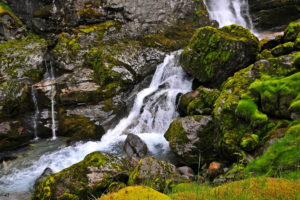 moss, Waterfall, Rocks