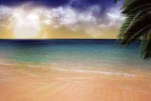 water, Ocean, Clouds, Beach, Sand, Trees, Sea, Outdoors, Palm, Trees, Skyscapes